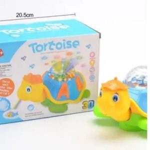 Musical Tortoise Toy